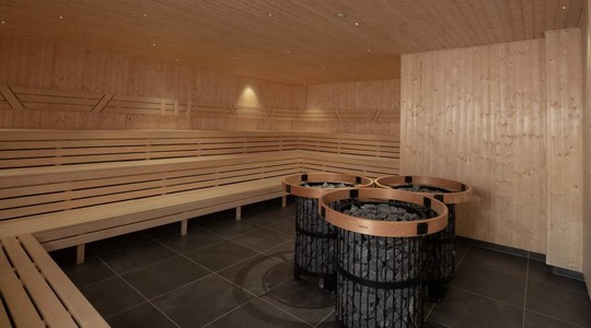Fínská sauna